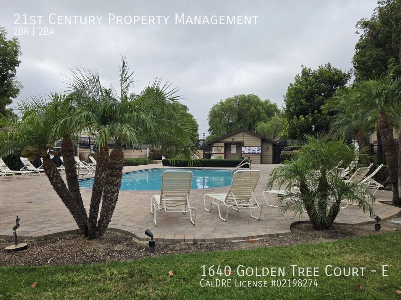 1640 Golden Tree Ct #E - Photo 5 of 24