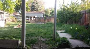 463 E 5th Ave #1 - Photo 2 of 8