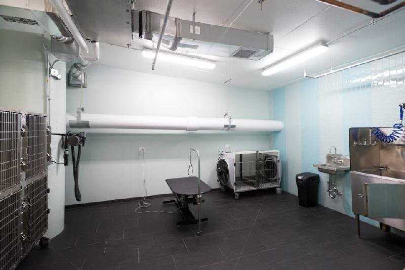 59 E Lake St #3505 - Photo 4 of 20