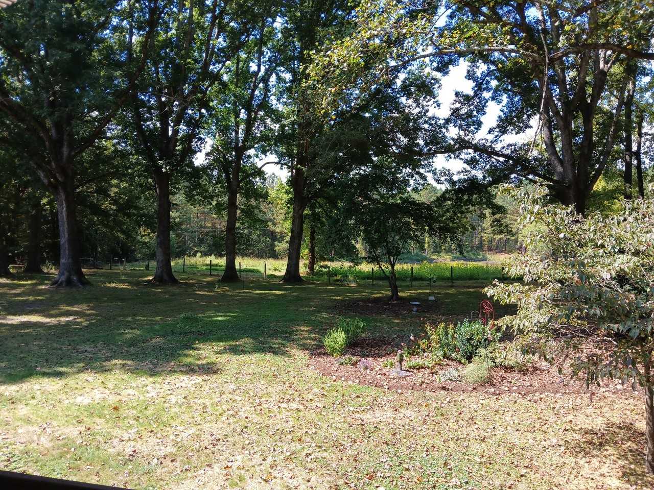 2174 Grubby Rd - Photo 3 of 20