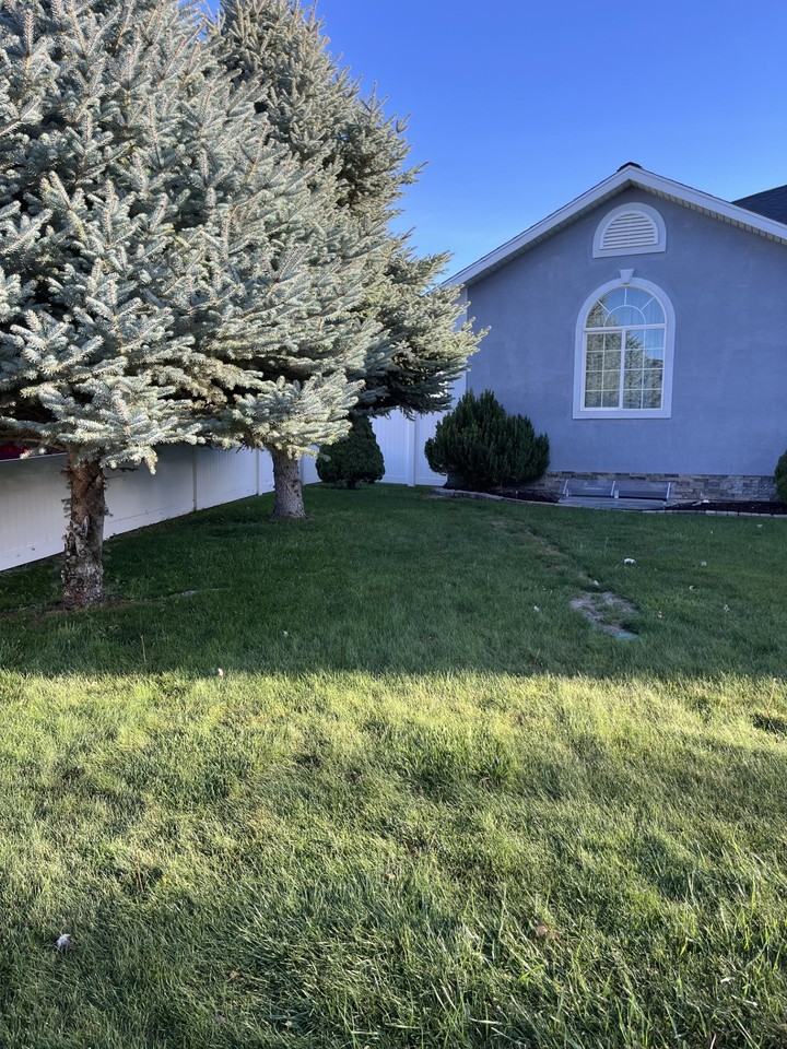 1517 E Falcon Ln #NA - Photo 3 of 50