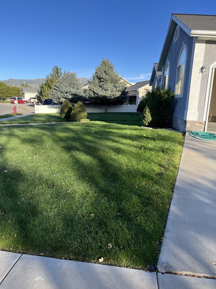 1517 E Falcon Ln #NA - Photo 4 of 50