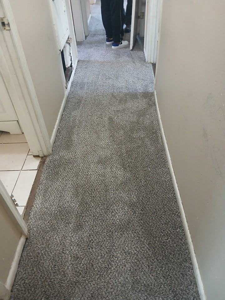 724 Chin St #NA - Photo 3 of 13