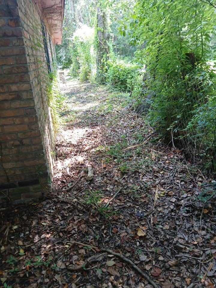 724 Chin St #NA - Photo 4 of 13