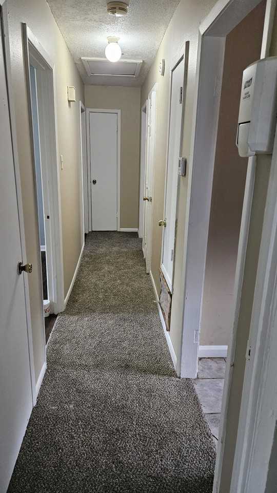 724 Chin St #NA - Photo 5 of 13