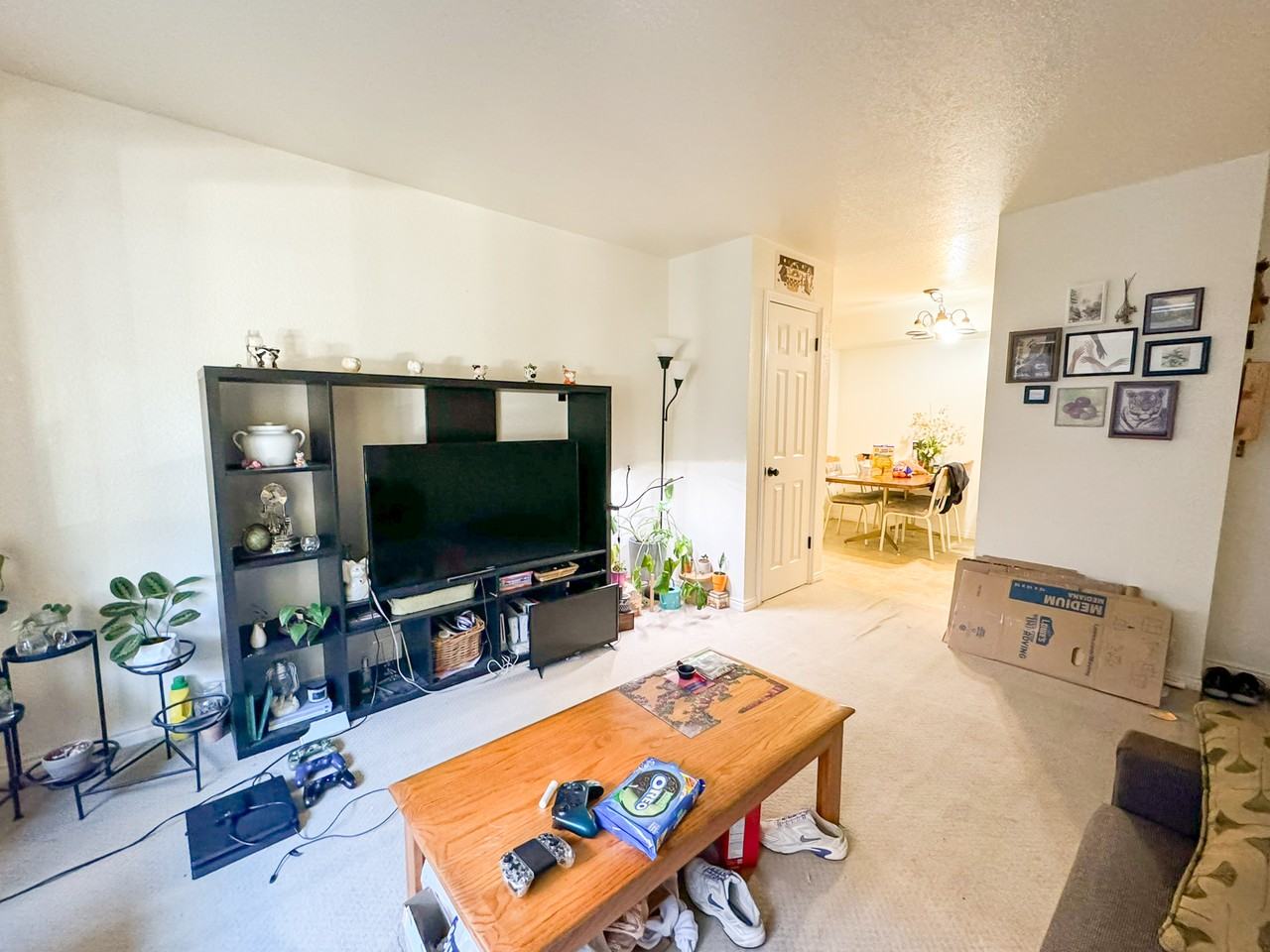 763 E 820 N - Photo 5 of 27