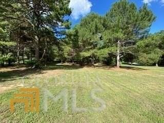 820 City Pond Rd - Photo 3 of 12