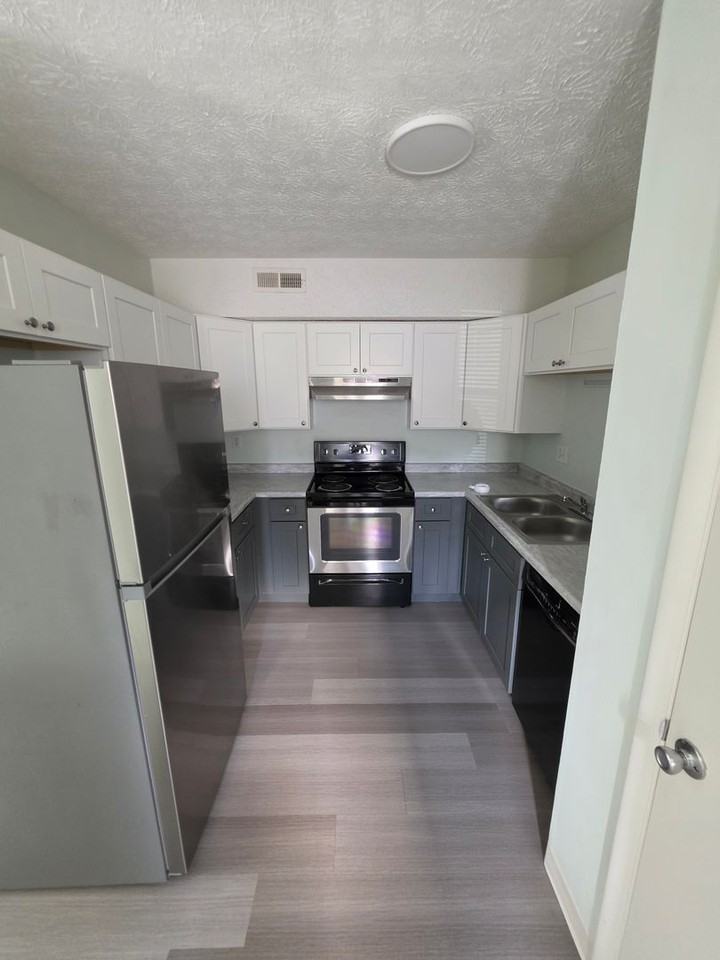 1800 1800 Seminole Dr - Chestnut 29 - Photo 5 of 10