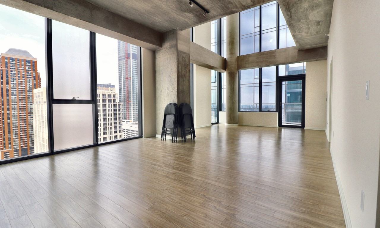 1333 S Wabash Ave #3-3PH - Photo 2 of 21