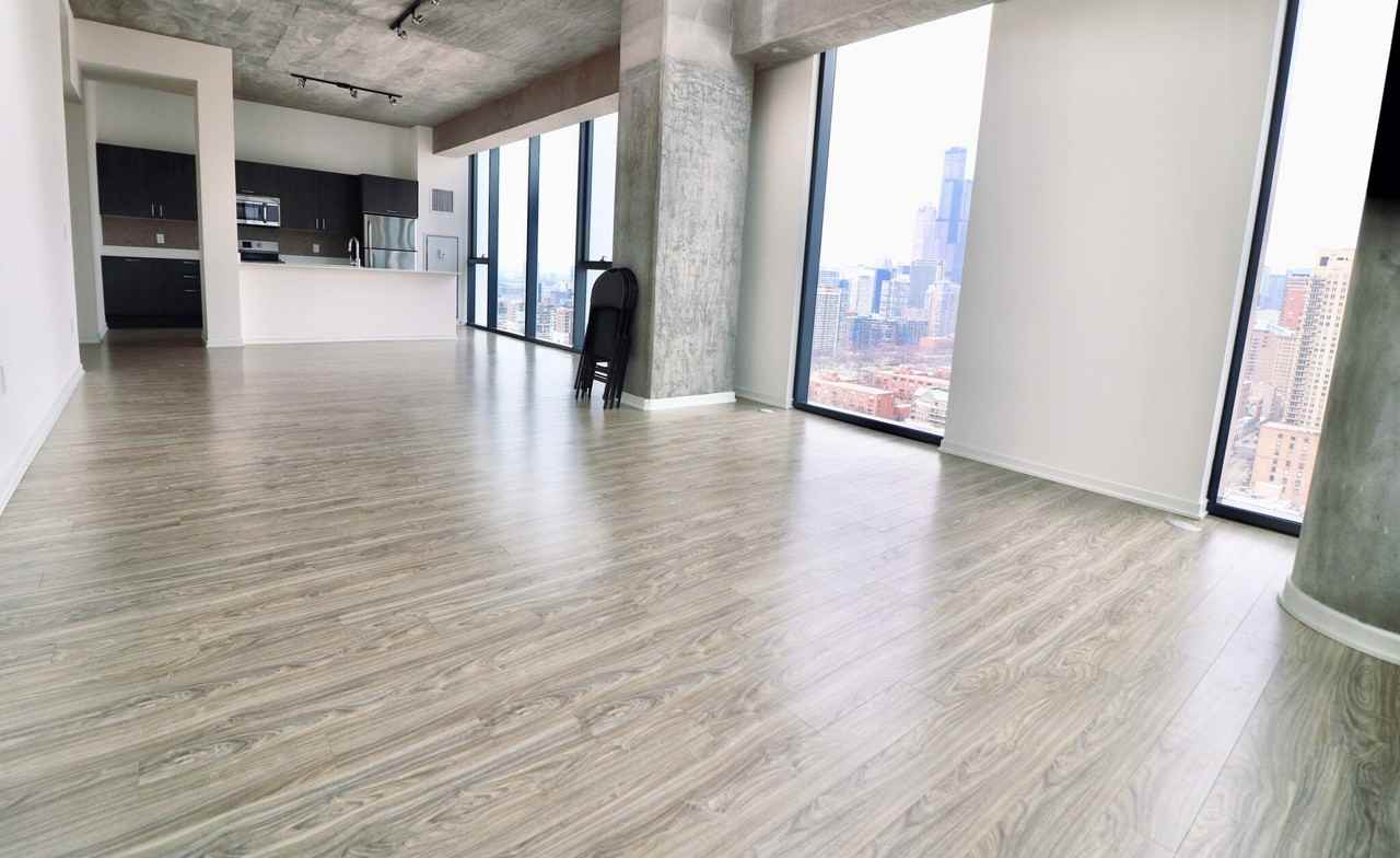 1333 S Wabash Ave #3-3PH - Photo 4 of 21