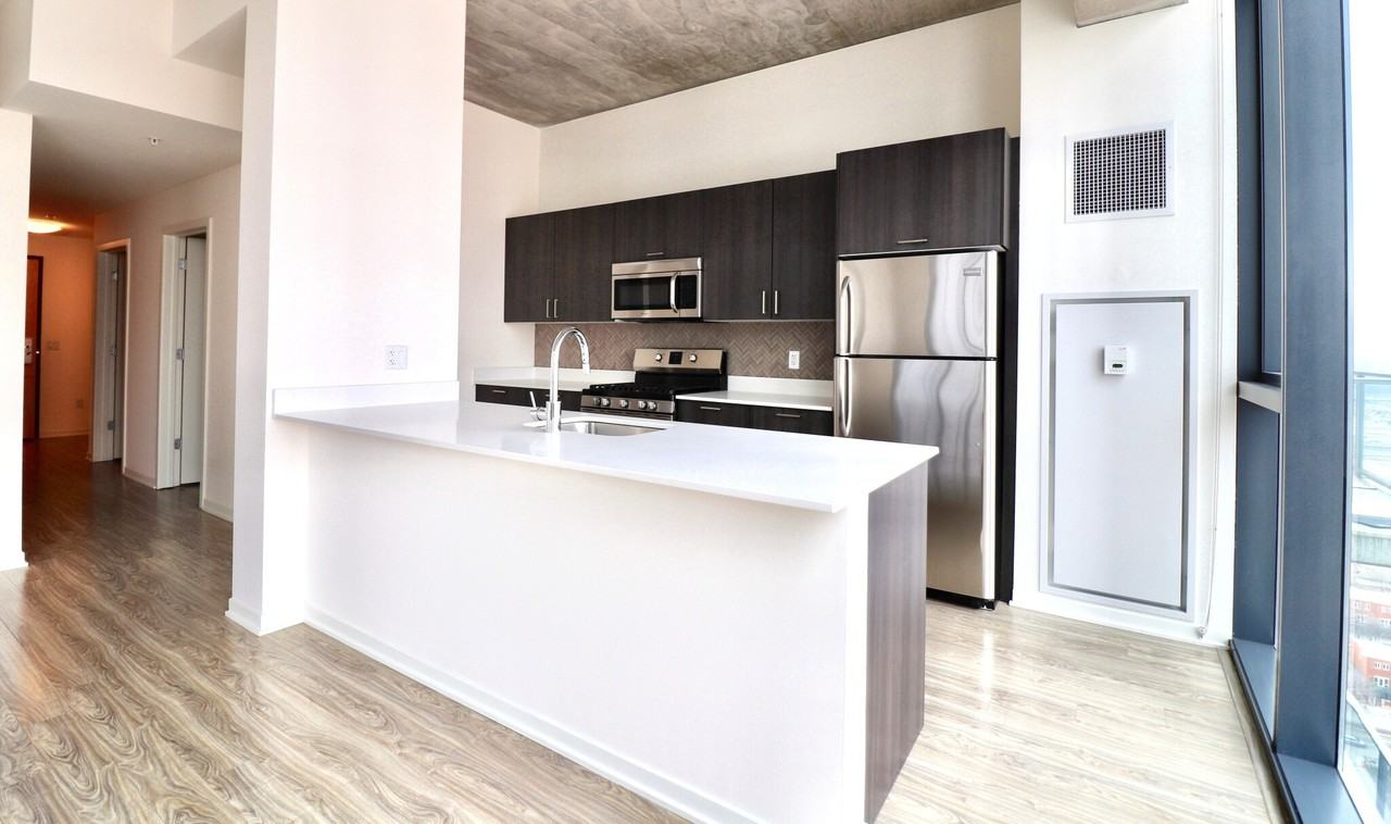 1333 S Wabash Ave #3-3PH - Photo 6 of 21
