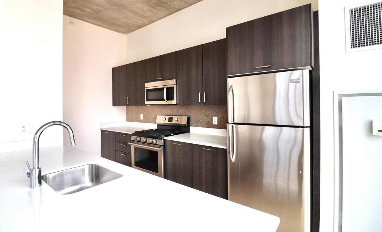 1333 S Wabash Ave #3-3PH - Photo 7 of 21