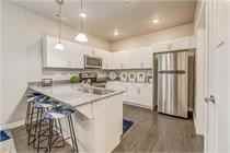 Vine Bldg 22: Unit 206 Type 2: Standard - Photo 7 of 50