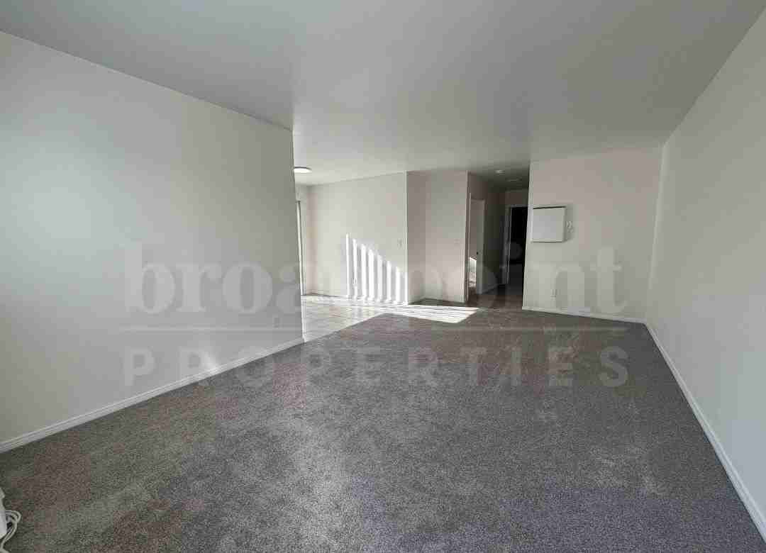 339 West 15th Avenue - Photo 3 of 50
