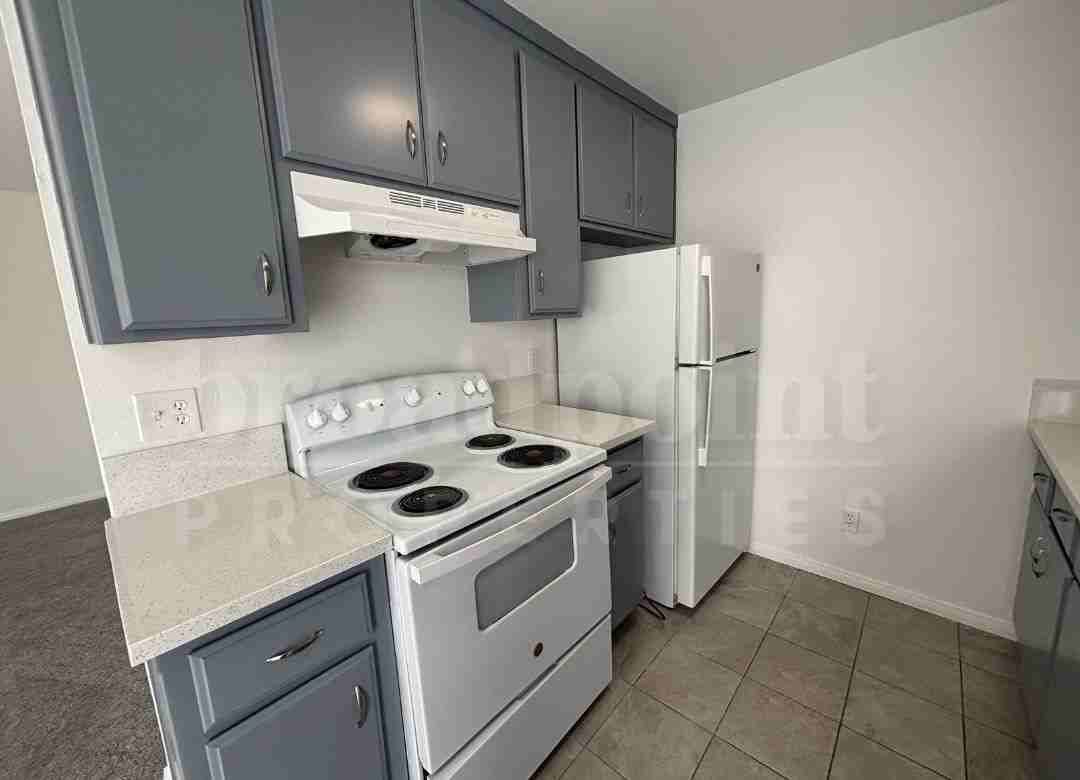 339 West 15th Avenue - Photo 5 of 50