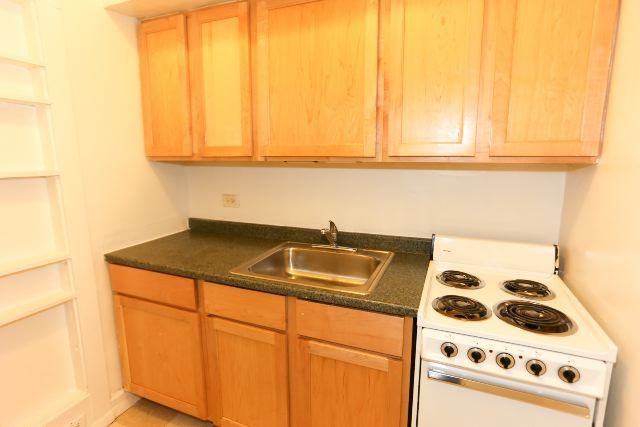 536 W Arlington Pl #115 - Photo 2 of 14
