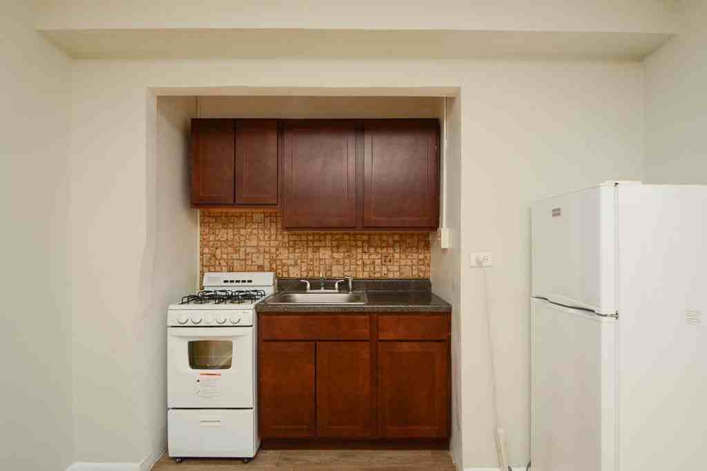 739 W Belmont Ave #314 - Photo 2 of 16