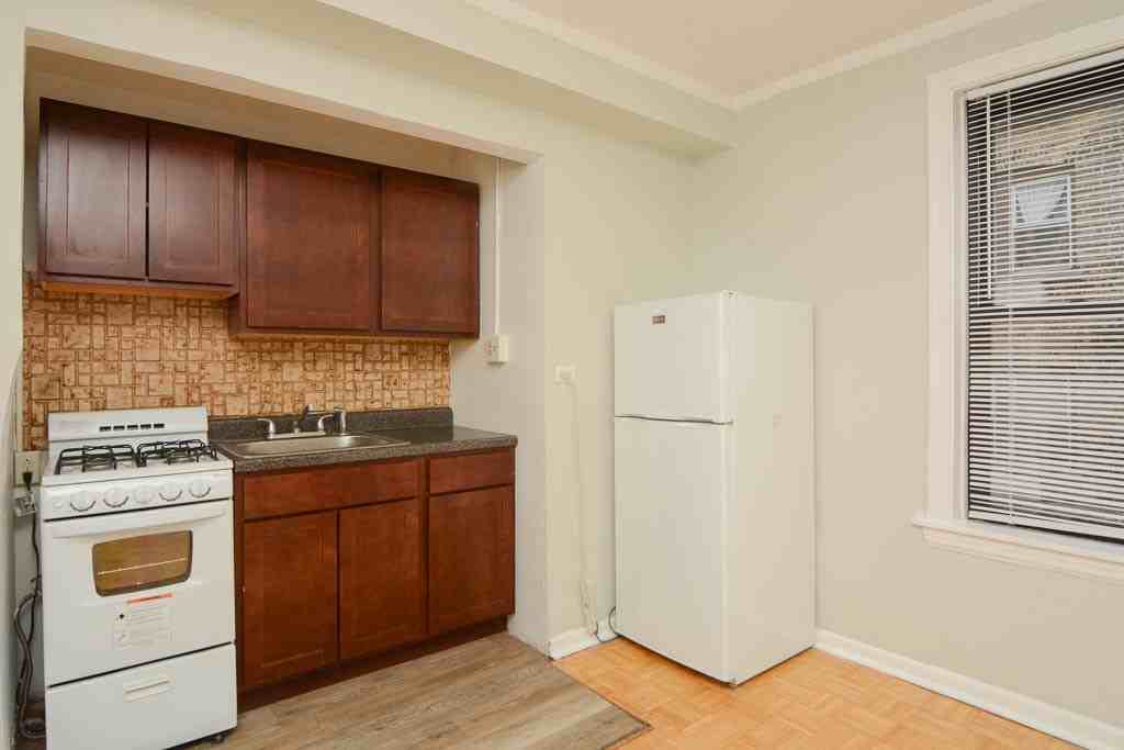 739 W Belmont Ave #314 - Photo 3 of 16