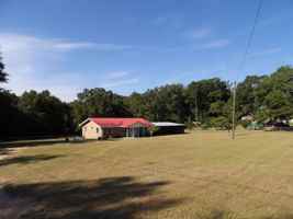 featured image of 533 County Road 255