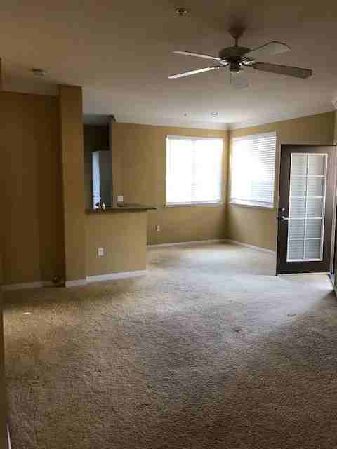 2184 Gill Village Way #504 - Photo 3 of 19