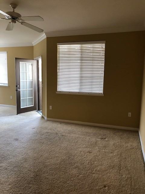2184 Gill Village Way #504 - Photo 4 of 19