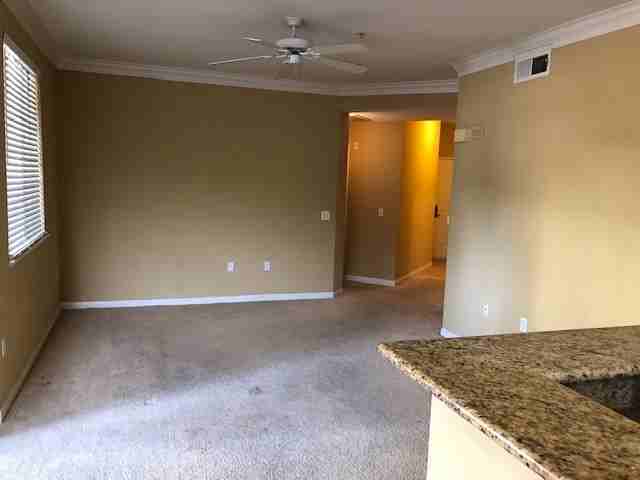 2184 Gill Village Way #504 - Photo 5 of 19