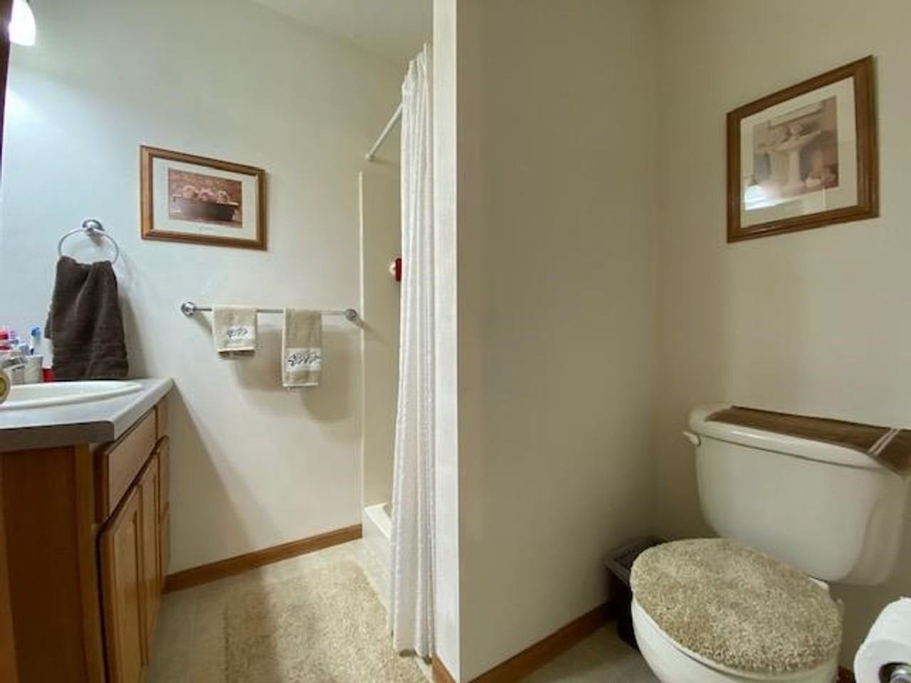1512 Green Tree Dr - Photo 6 of 28