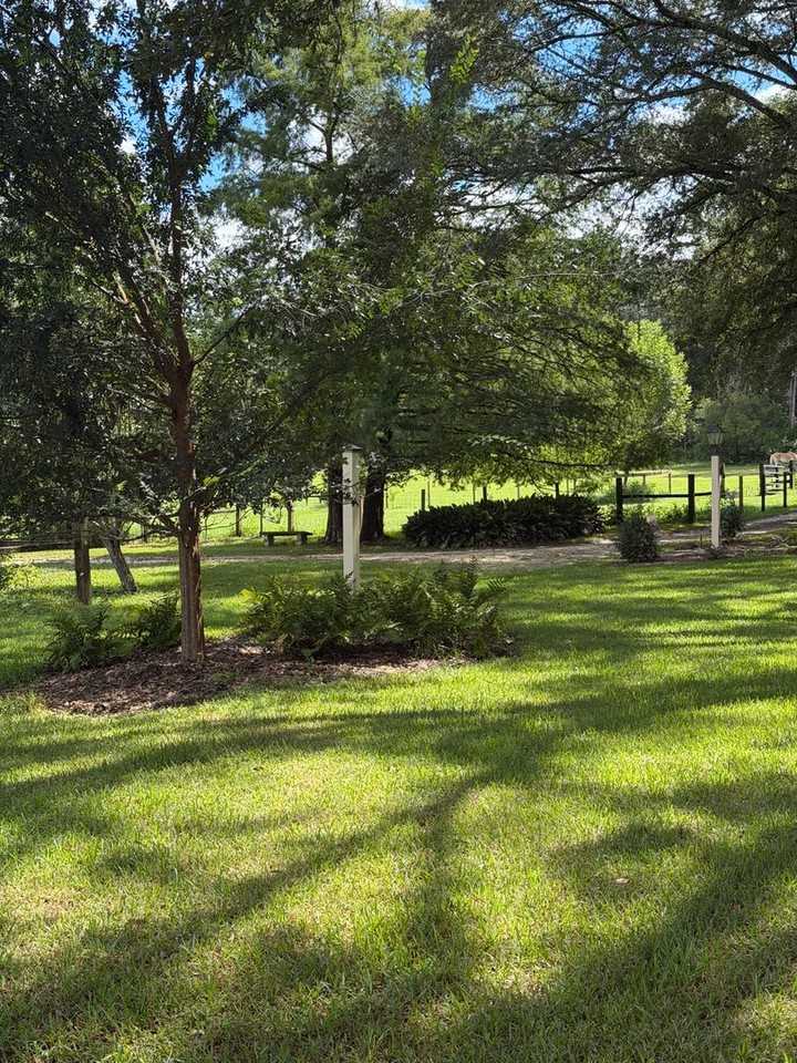 8509 Little Scenic Ln - Photo 5 of 32