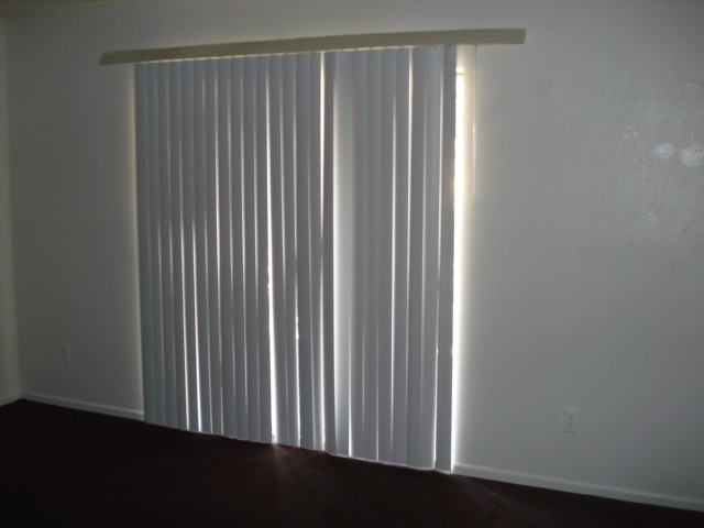 2242 W Morten Ave #4 - Photo 5 of 6