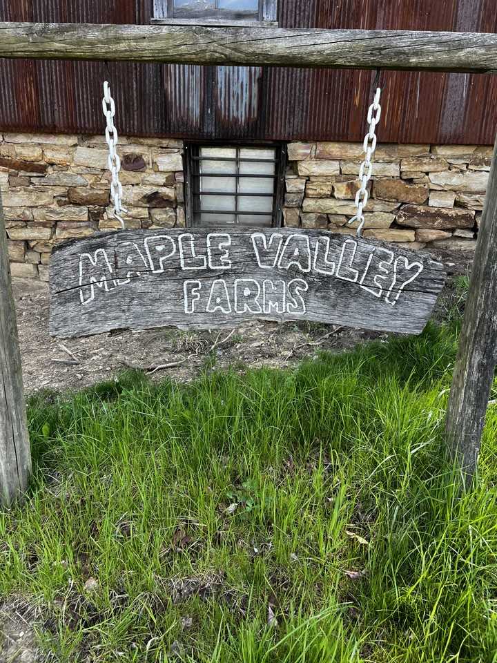 157 Maple Valley Dr #NA - Photo 2 of 50
