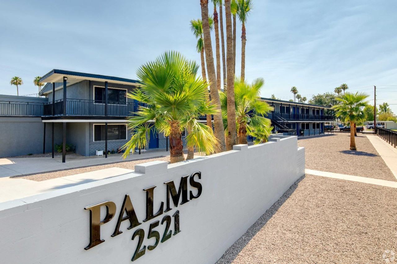 Palms - Photo 7 of 27