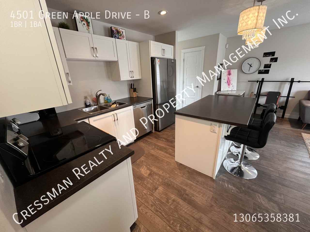 4501 Green Apple Dr - Photo 4 of 7