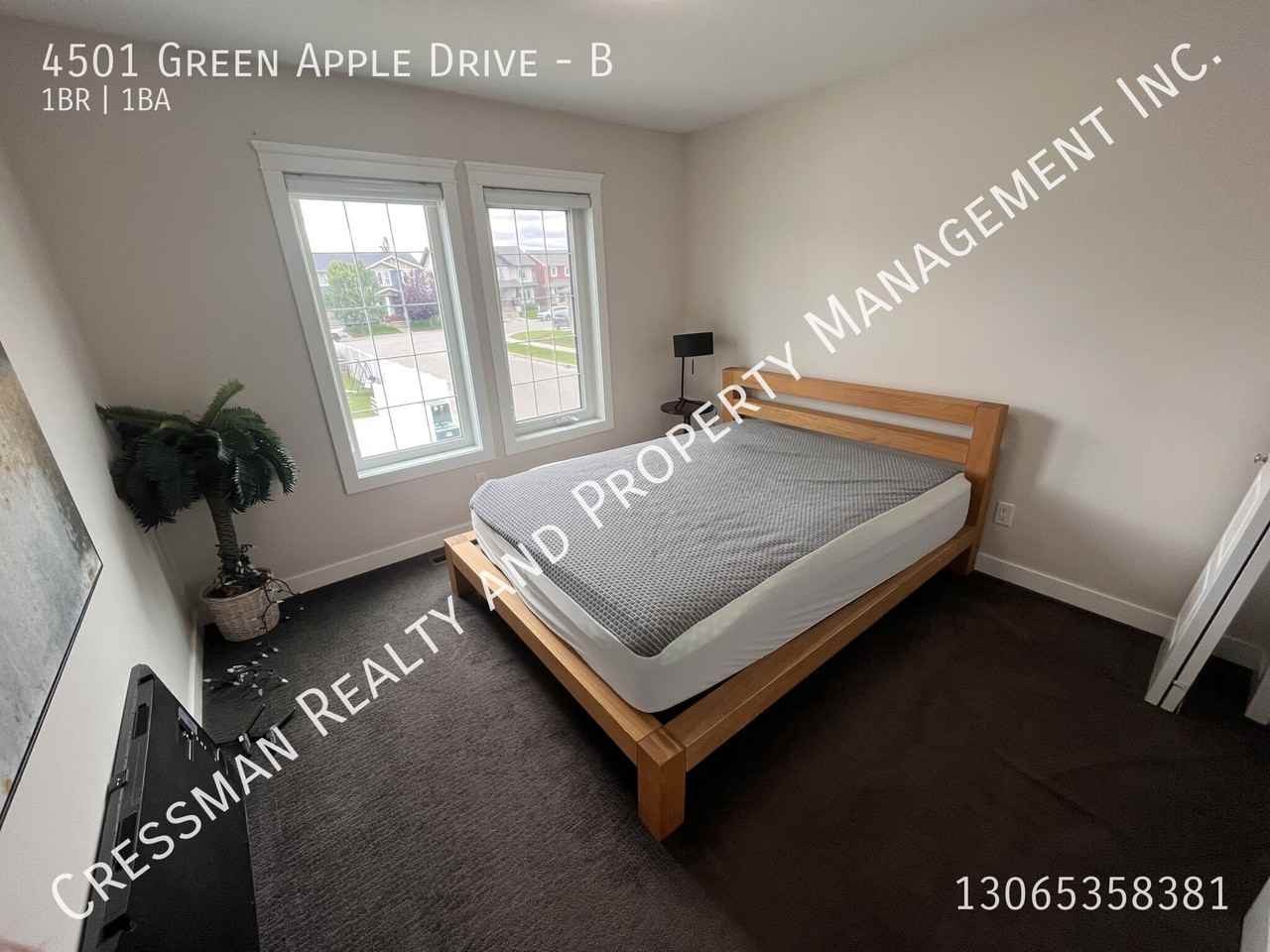 4501 Green Apple Dr - Photo 5 of 7