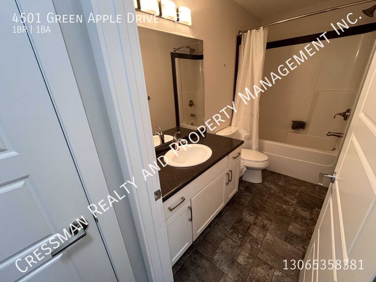 4501 Green Apple Dr - Photo 6 of 7