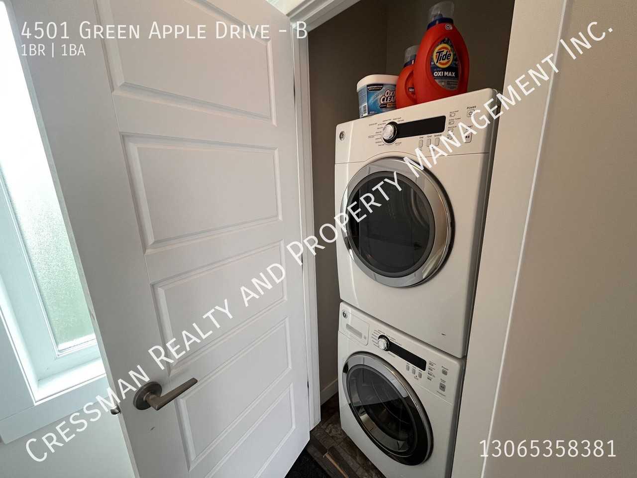4501 Green Apple Dr - Photo 7 of 7