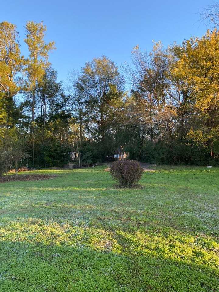 115 Berry Dr - Photo 7 of 17