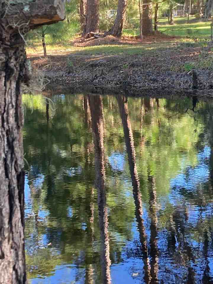 2561 Moore Crossing Rd - Photo 6 of 19