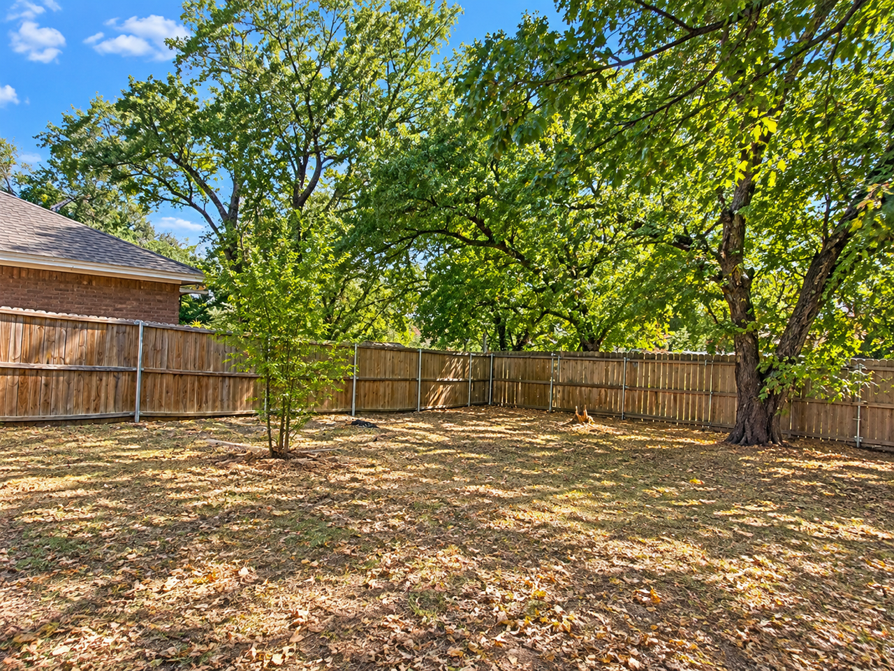 1008 Van Winkle St - Photo 4 of 17