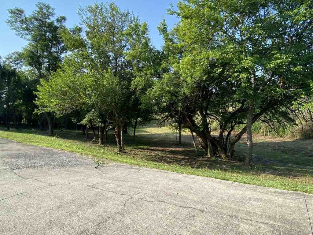 409 Sara Leigh Dr - Photo 3 of 13