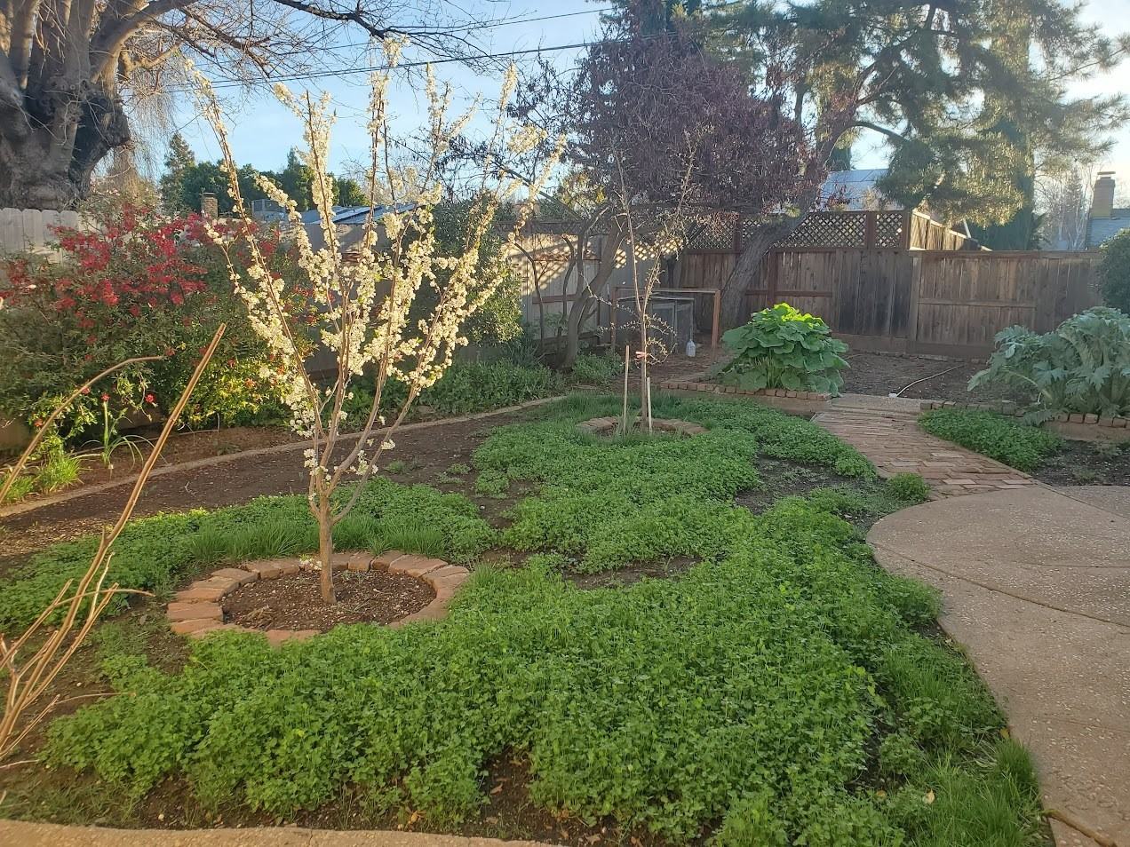 844 Kern St - Photo 6 of 19