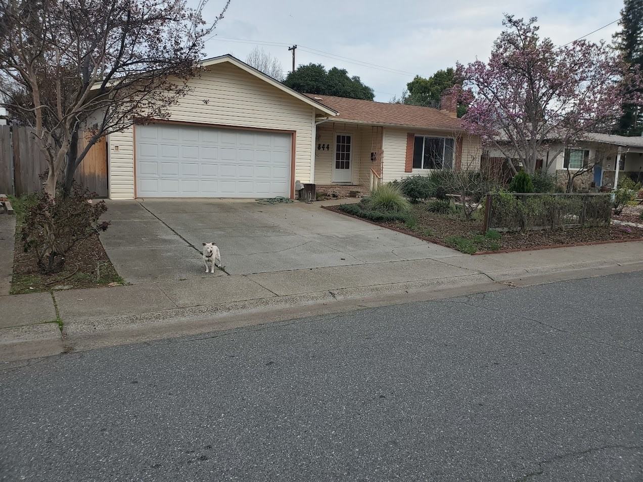 844 Kern St - Photo 4 of 19