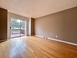 featured image of 260 Carriage Ln Sw