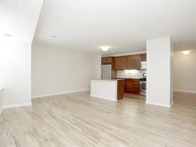 1337 W Fargo Ave #503 - Photo 1 of 1