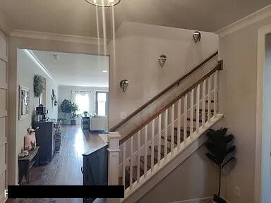 789 Plowson Rd - Photo 2 of 11