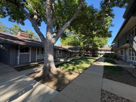6495 E Happy Canyon Rd Apt 67 - Photo 1 of 1