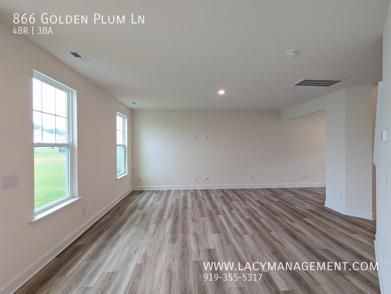 866 Golden Plum Ln - Photo 3 of 20