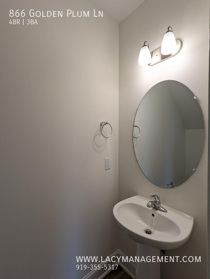 866 Golden Plum Ln - Photo 6 of 20