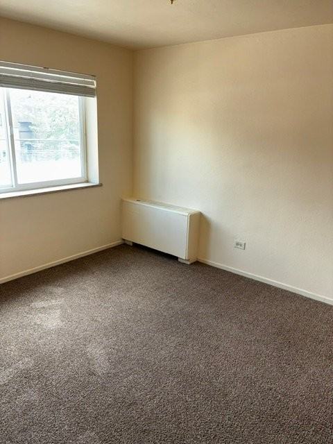 1160 N Ogden St #307 - Photo 7 of 12