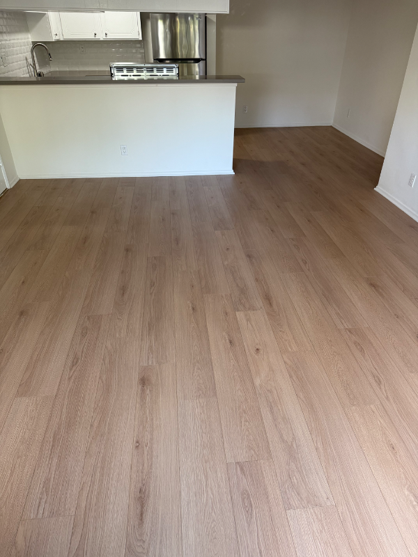 711 Westmount Dr #101 - Photo 2 of 20