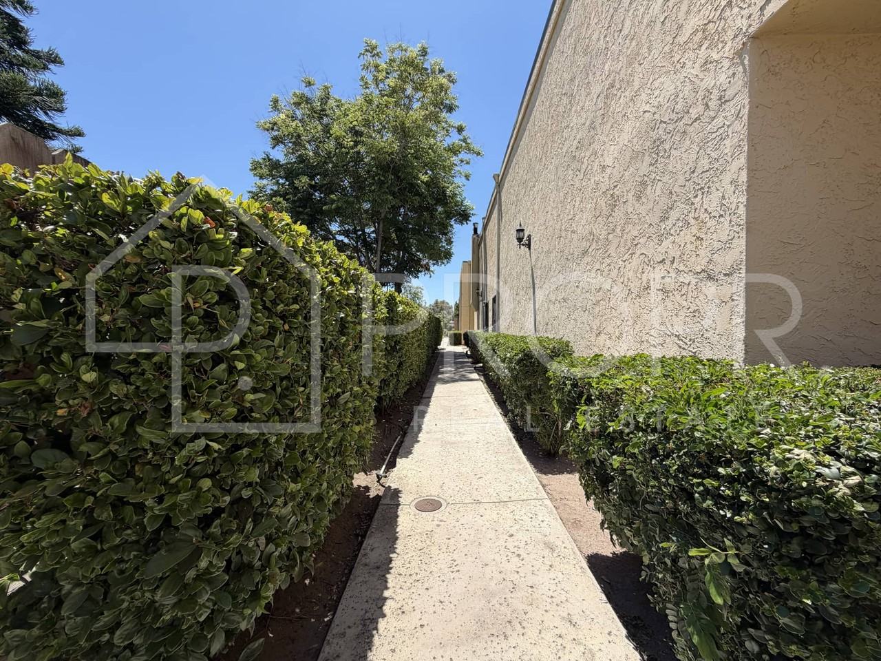 3240 Olive Street | Olive Apartments | Move In Specials | - Photo 3 of 23